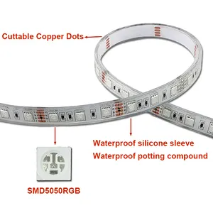 IP20 IP65 DC12V  High-Brightness RGB Smart Color-Changing Light Strip